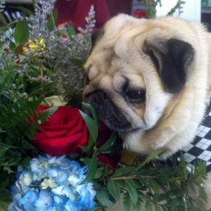 Flower Power